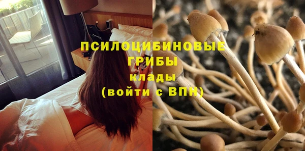 меф Ладушкин