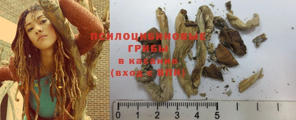 меф Ладушкин